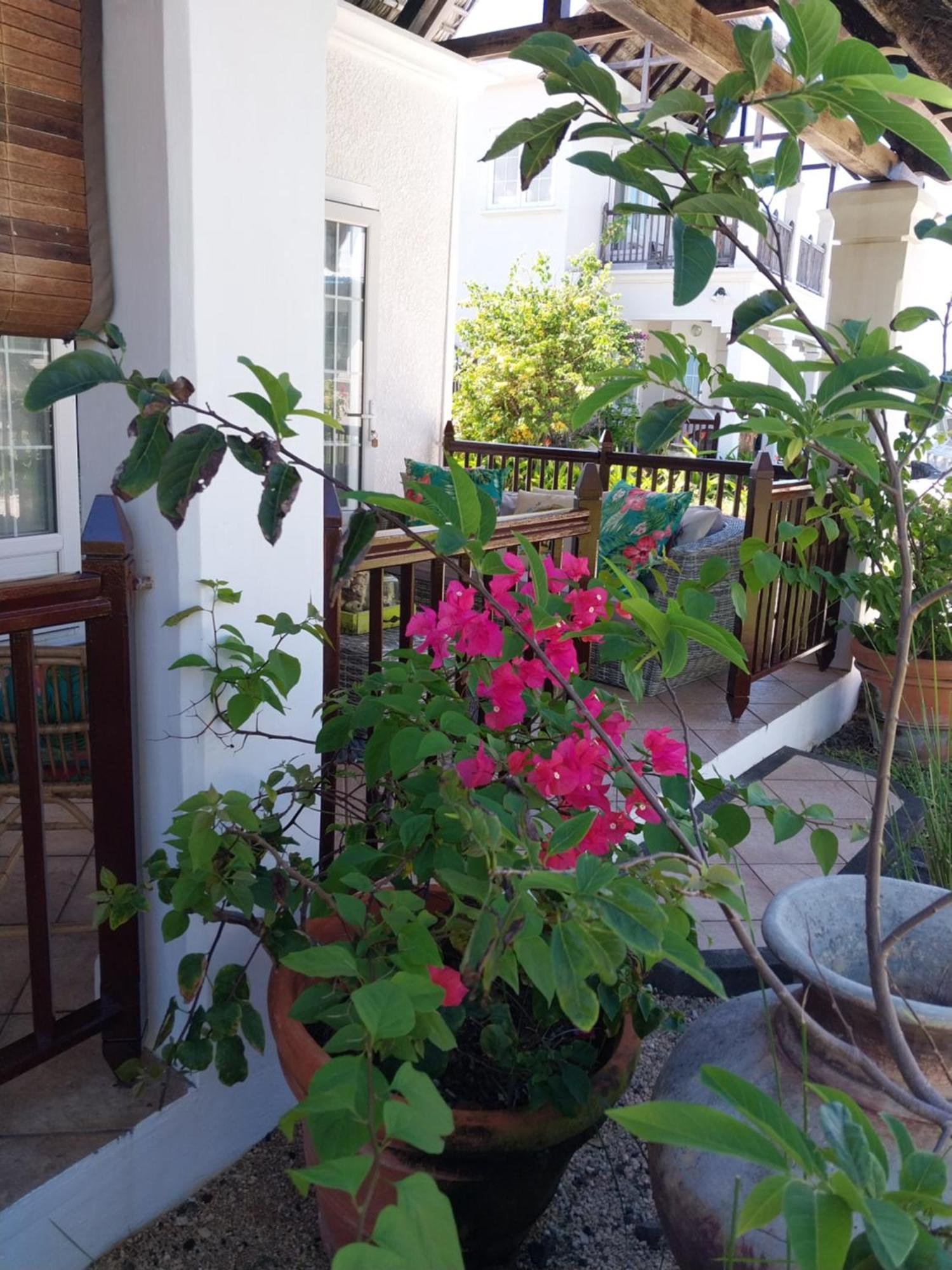 Chillpill Guest House Mahébourg エクステリア 写真